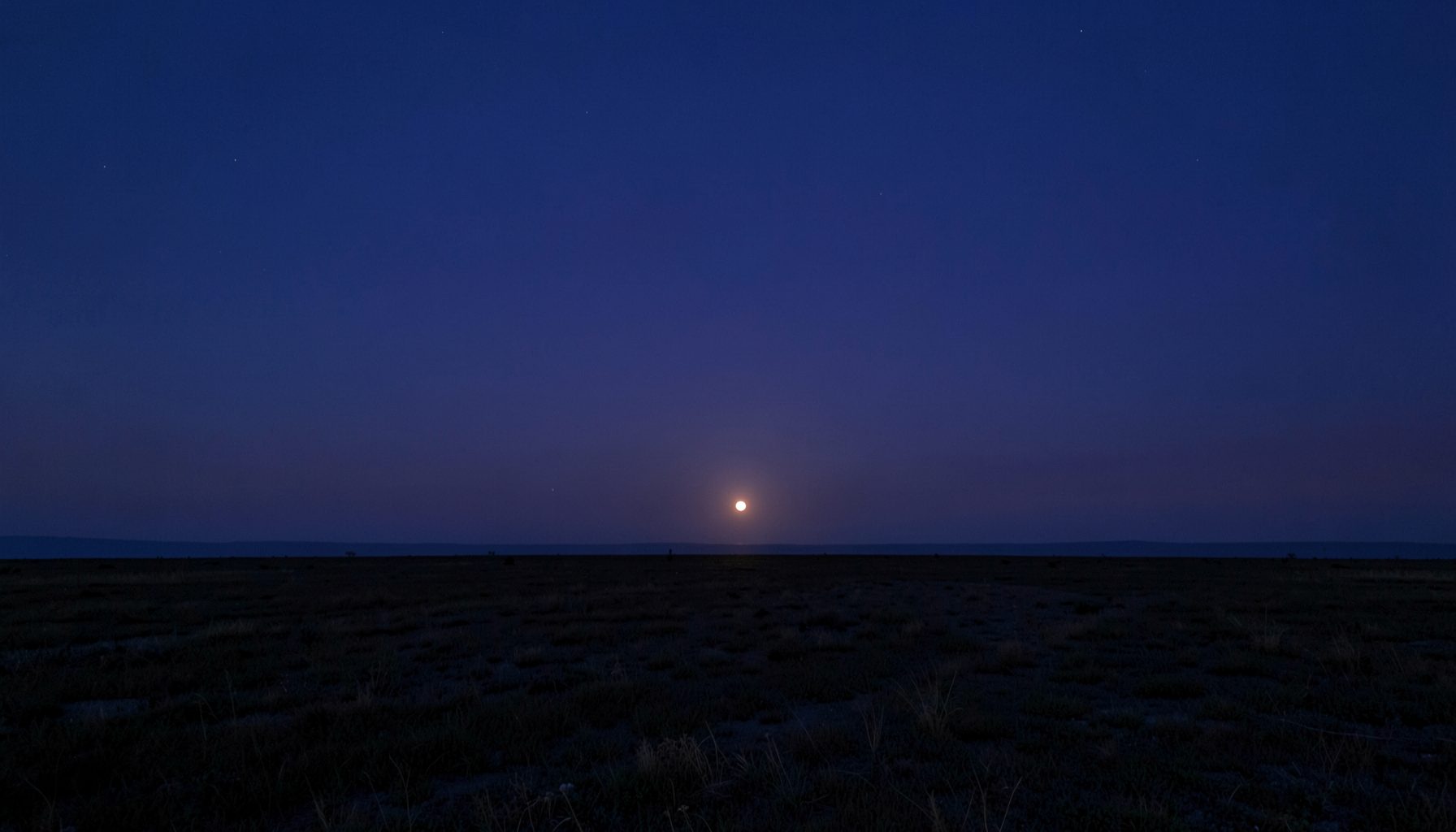 A vast open landscape at twilight, deep indigo sky meeting a distant horizon with a single bright point of light, serene and reverent atmosphere