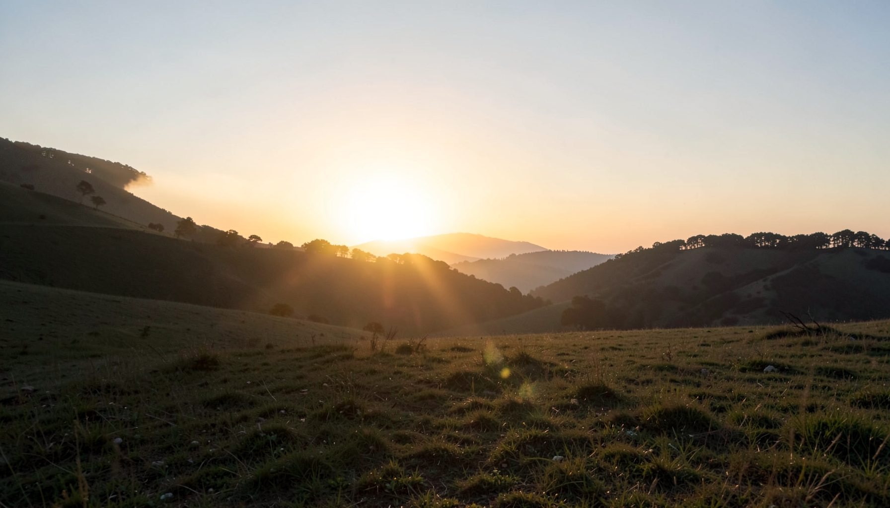 A sunrise breaking over a quiet hillside, with soft golden light spreading across the landscape